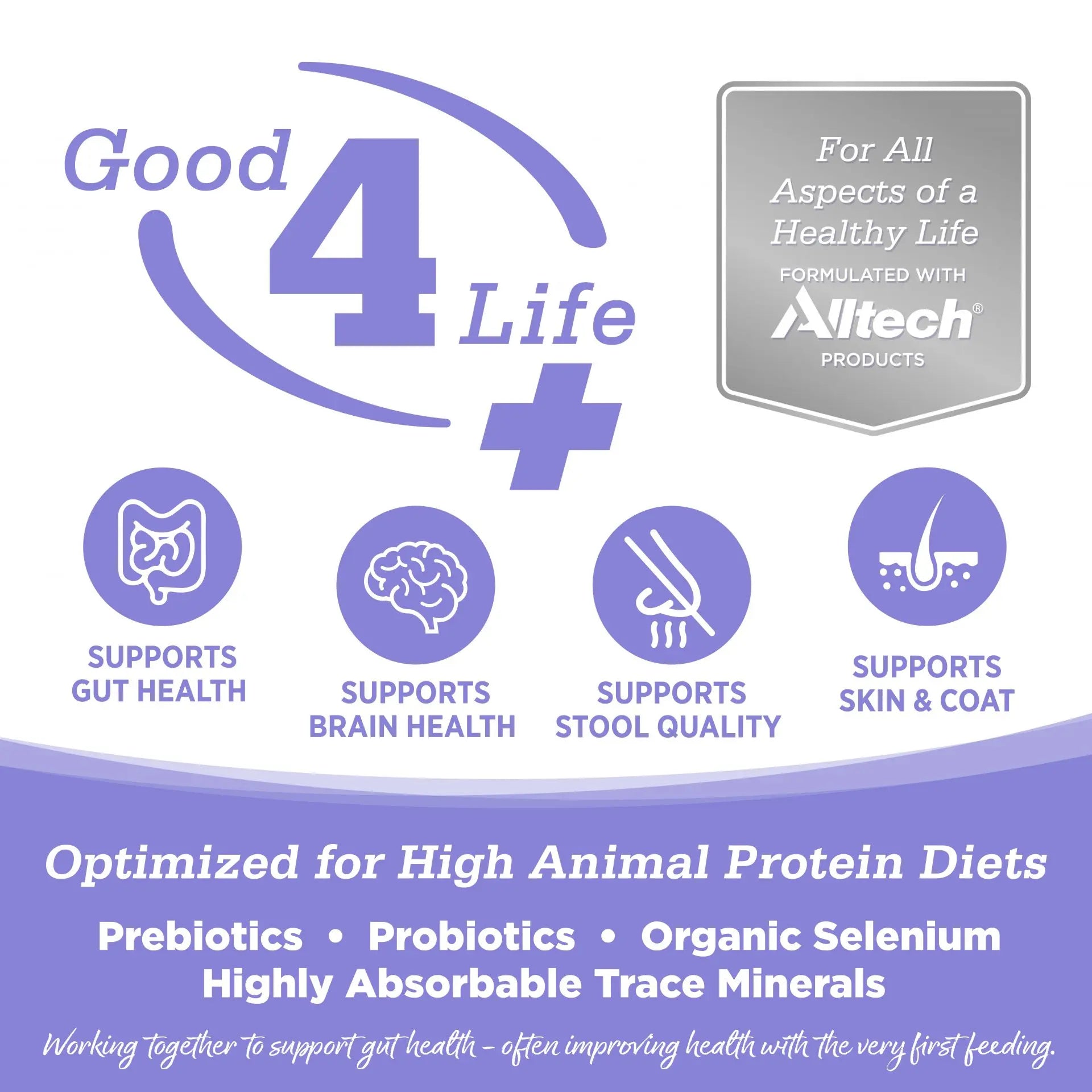 Infographic with NutriSource branding. Icons highlight NutriSource Grain Free Chicken & Salmon Select Cat & Kitten Dry Food’s support for gut and brain health, stool quality, and skin & coat with prebiotics, probiotics, selenium, and minerals.