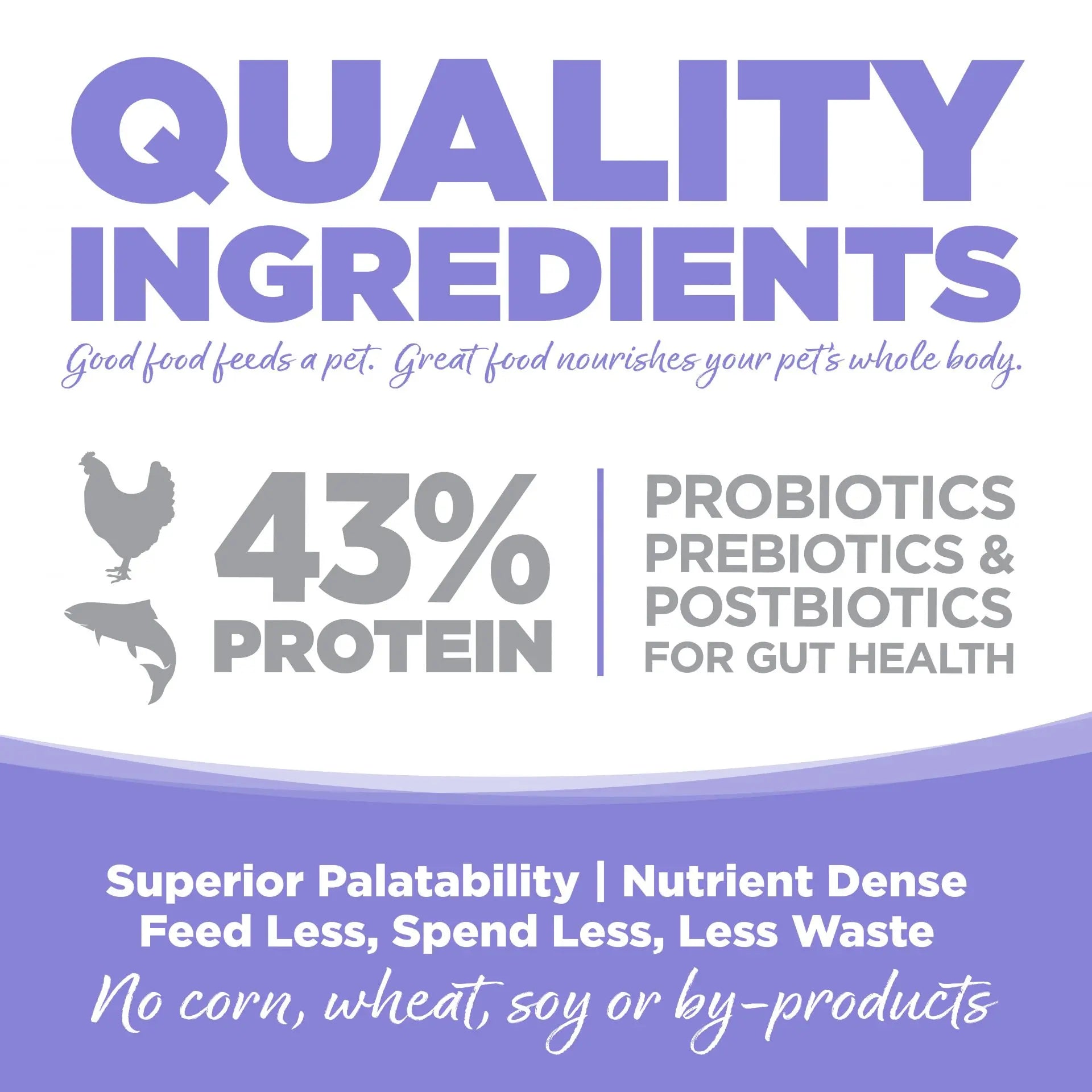NutriSource Grain Free Chicken & Salmon Select Cat & Kitten Dry Food features 43% protein from chicken and fish, probiotics for gut health, and no corn, wheat, soy, or by-products—ensuring nutrient-rich meals and better digestion for your cat.