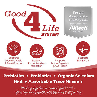 Infographic for NutriSource PureVita LID Pate Grain Free Wet Dog Food, featuring icons for cognitive health, digestion, skin & coat, nutrient utilization—spotlighting prebiotics, probiotics, organic selenium & trace minerals.