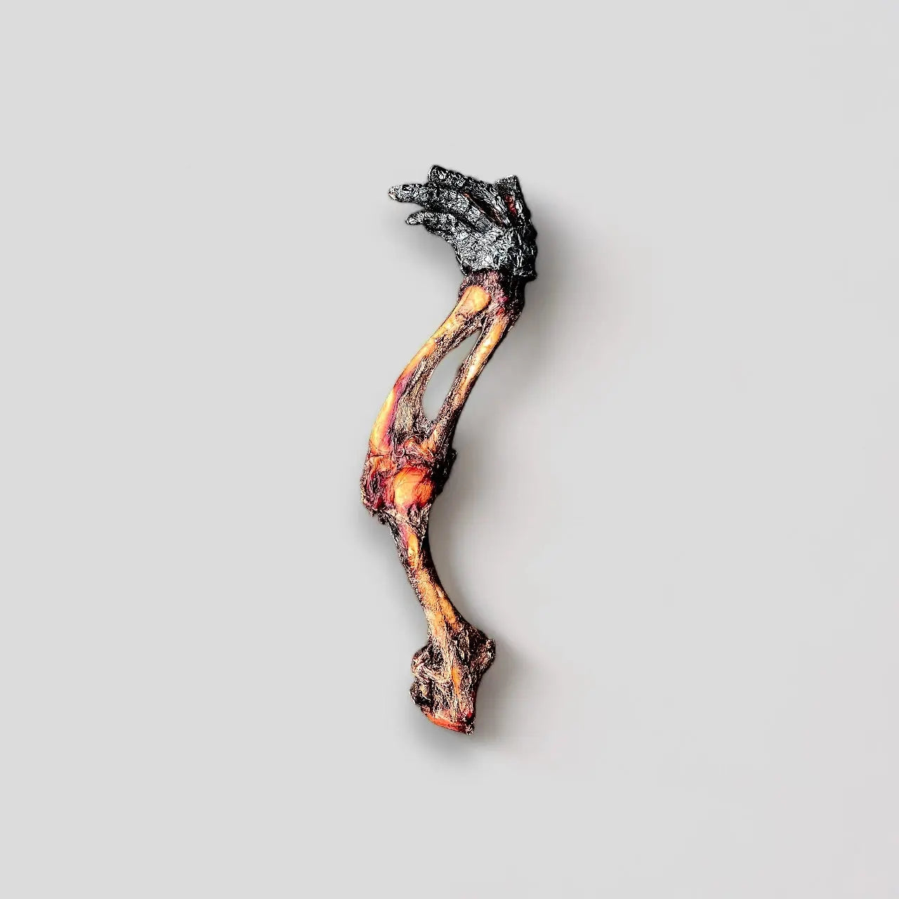 A single Nutrigator® Farm-Raised Alligator Foot by Mosaic is displayed on a plain light gray background, reminiscent of alternative protein chews found in hypoallergenic dog treats.