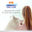 Nylabone® Advanced Oral Care® Tartar Control Toothpaste for Dog 2.5 Oz Nylabone®