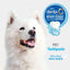 Nylabone® Advanced Oral Care® Tartar Control Toothpaste for Dog 2.5 Oz Nylabone®