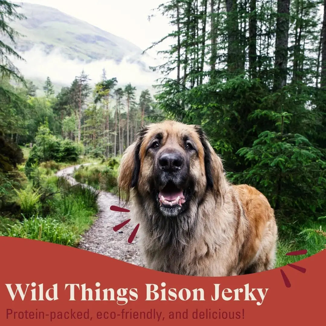 OTIS Wild Things Grass-Fed Bison Jerky Dog Treats 4oz OTIS