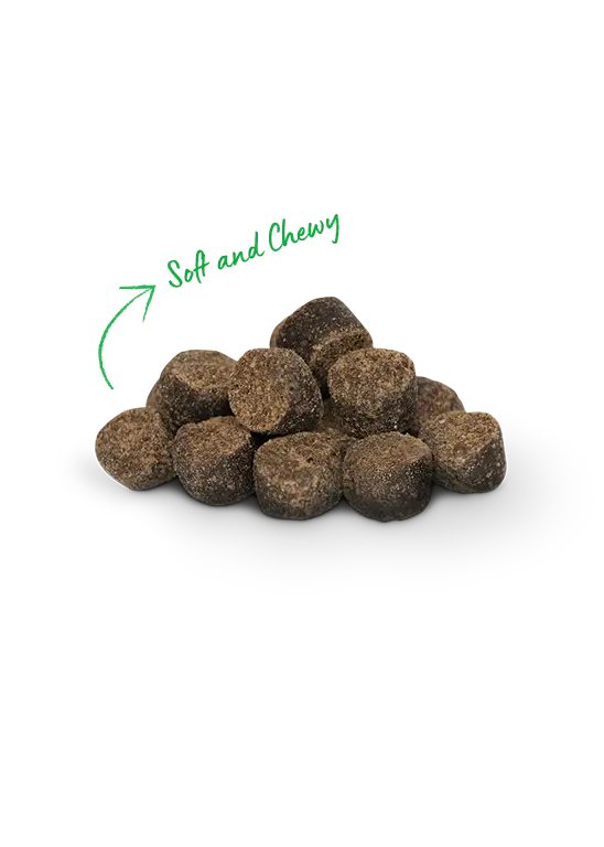 Open Farm Be Good Bites Wild Caught Salmon Soft & Chewy Dog Treats 6 oz Open Farm