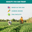 A person in yellow bikes through grass with a white dog running ahead. Text: Quality you can trust—PETIPET Bananas + Strawberries Bites Soft & Chewy Dog Treats, made in the USA with organic, human-grade ingredients. Icons included.