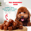 A happy brown poodle sits behind a platter of PETIPET Bananas + Strawberries Bites Soft & Chewy Dog Treats, with text reading Tail-waggingly good. Yummy, real fruit flavor your dog will love, and a red arrow pointing to the treats.