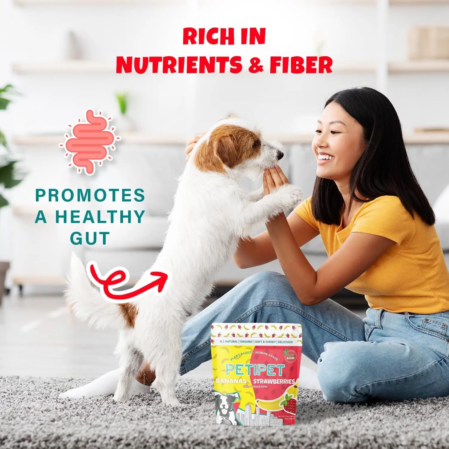 A woman smiles and plays with a small dog indoors. Text reads, “Rich in nutrients & fiber—promotes a healthy gut.” A bag of PETIPET Bananas + Strawberries Bites Soft & Chewy Dog Treats 5 oz is visible in the foreground.