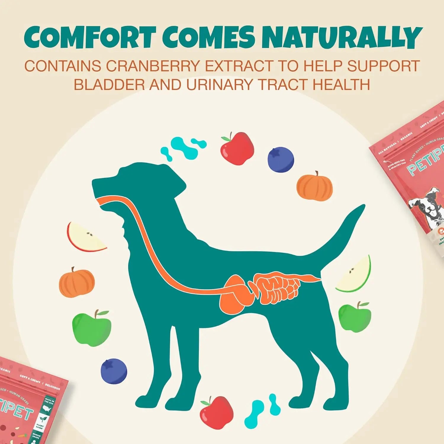 Illustration of a dog with digestive organs highlighted, surrounded by fruits and veggies. Text: “PETIPET Bladder Booster Cranberry Chews for Dogs—supports urinary and kidney health naturally. 7oz.”.