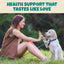 A woman on grass smiles, high-fiving her happy dog. Above them, bold text reads: HEALTH SUPPORT THAT TASTES LIKE LOVE. Lush trees frame the scene—ideal for PETIPET Bladder Booster Cranberry Chews for Dogs’ urinary and kidney health support.