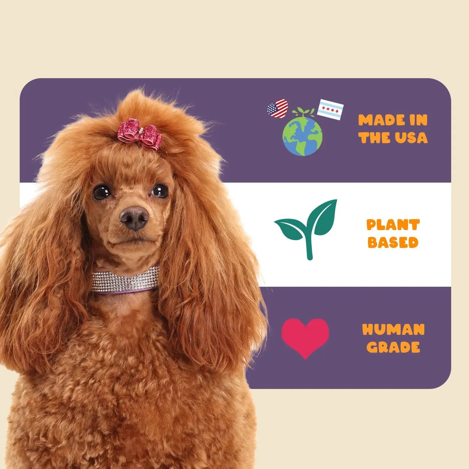 A red poodle with a bow sits before a sign reading Made in the USA, Plant Based, and Human Grade, spotlighting PETIPET Omega DHA Bites—apple & carrot chews with marine algae DHA & EPA for dogs—on a purple, white, and beige background.