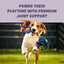 A happy dog runs outside holding a colorful rope toy. Above, bold text reads: Power their playtime with PETIPET Omega DHA Bites—apple & carrot soft chews with marine algae DHA + EPA for brain and heart health.