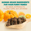 A wooden spoon holds cube-shaped PETIPET Pill Press Dog Treats—vegan chews with pumpkin and probiotics—in front of pumpkins and orange slices. Text: Human-grade, plant-based ingredients. No GMOs, fillers, corn, soy, or wheat.