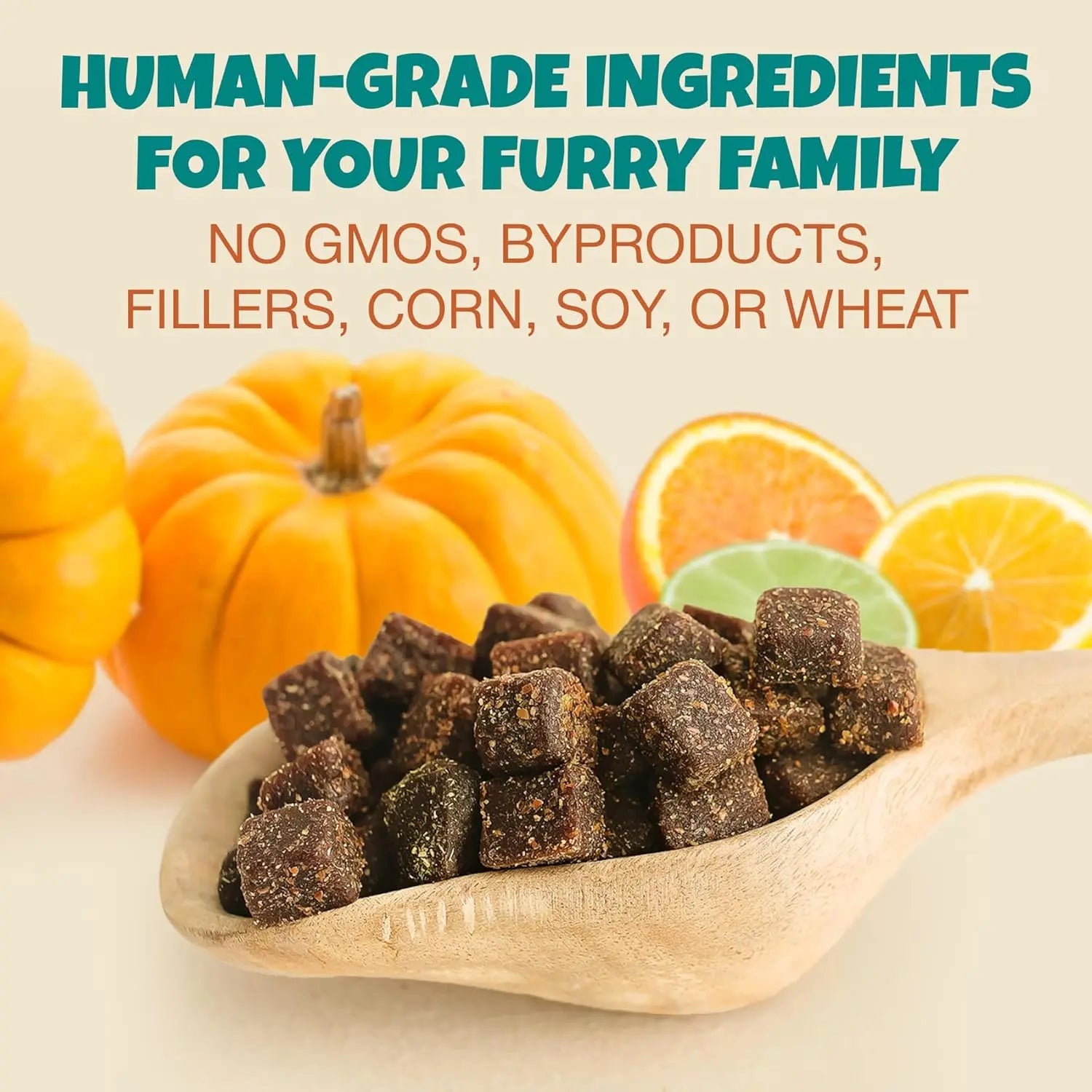 A wooden spoon holds cube-shaped PETIPET Pill Press Dog Treats—vegan chews with pumpkin and probiotics—in front of pumpkins and orange slices. Text: Human-grade, plant-based ingredients. No GMOs, fillers, corn, soy, or wheat.