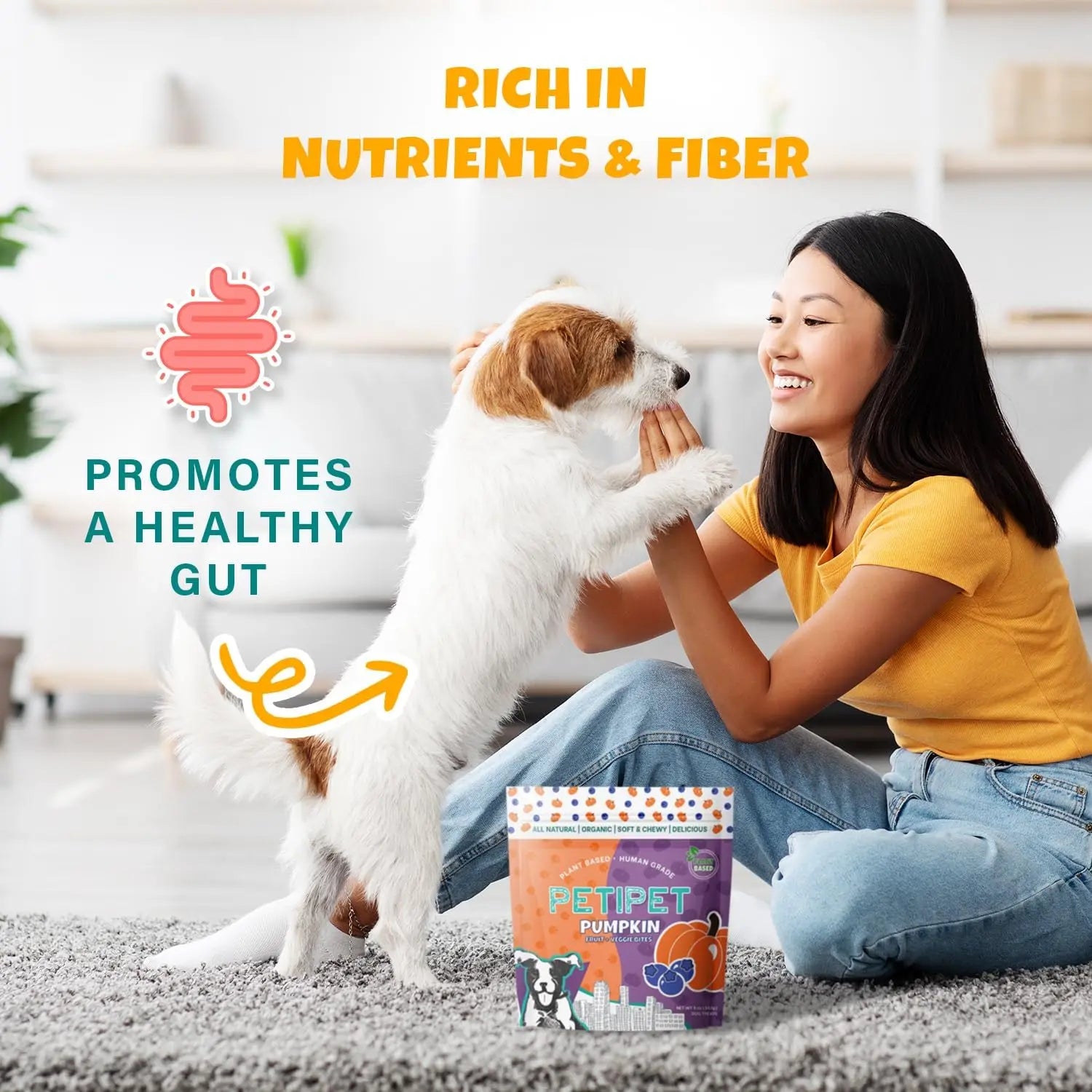 A smiling woman kneels on the floor playing with a small dog. Text reads “Rich in Nutrients & Fiber” and “Promotes a Healthy Gut.” A bag of PETIPET Pumpkin Fruit + Veggie Bites Gluten-Free Adult Soft & Chewy Dog Treats 5oz is in the foreground.