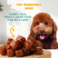 A happy brown poodle with its tongue out sits behind a stack of PETIPET Pumpkin Fruit + Veggie Bites Gluten-Free Adult Soft & Chewy Dog Treats 5oz. Text: TAIL-WAGGINGLY GOOD and YUMMY, REAL FRUIT FLAVOR YOUR DOG WILL LOVE.