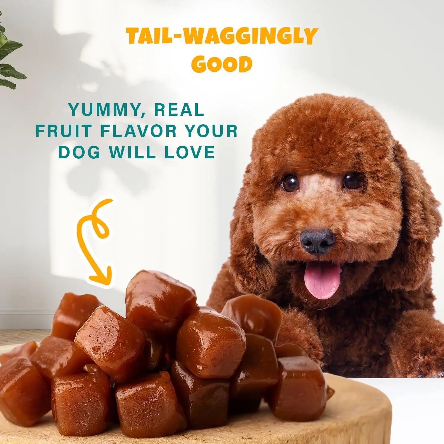 A happy brown poodle with its tongue out sits behind a stack of PETIPET Pumpkin Fruit + Veggie Bites Gluten-Free Adult Soft & Chewy Dog Treats 5oz. Text: TAIL-WAGGINGLY GOOD and YUMMY, REAL FRUIT FLAVOR YOUR DOG WILL LOVE.