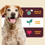 A happy brown and white dog sits in front of a graphic highlighting PETIPET Turmeric Bites + Curcumin Apple & Carrot Flavored Soft Chew Anti-Inflammatory Supplement for Dogs, made in the USA, plant based, and human grade.