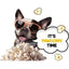 PawCorn Elk Healthy Dog Treats Popcorn for Dogs PawCorn