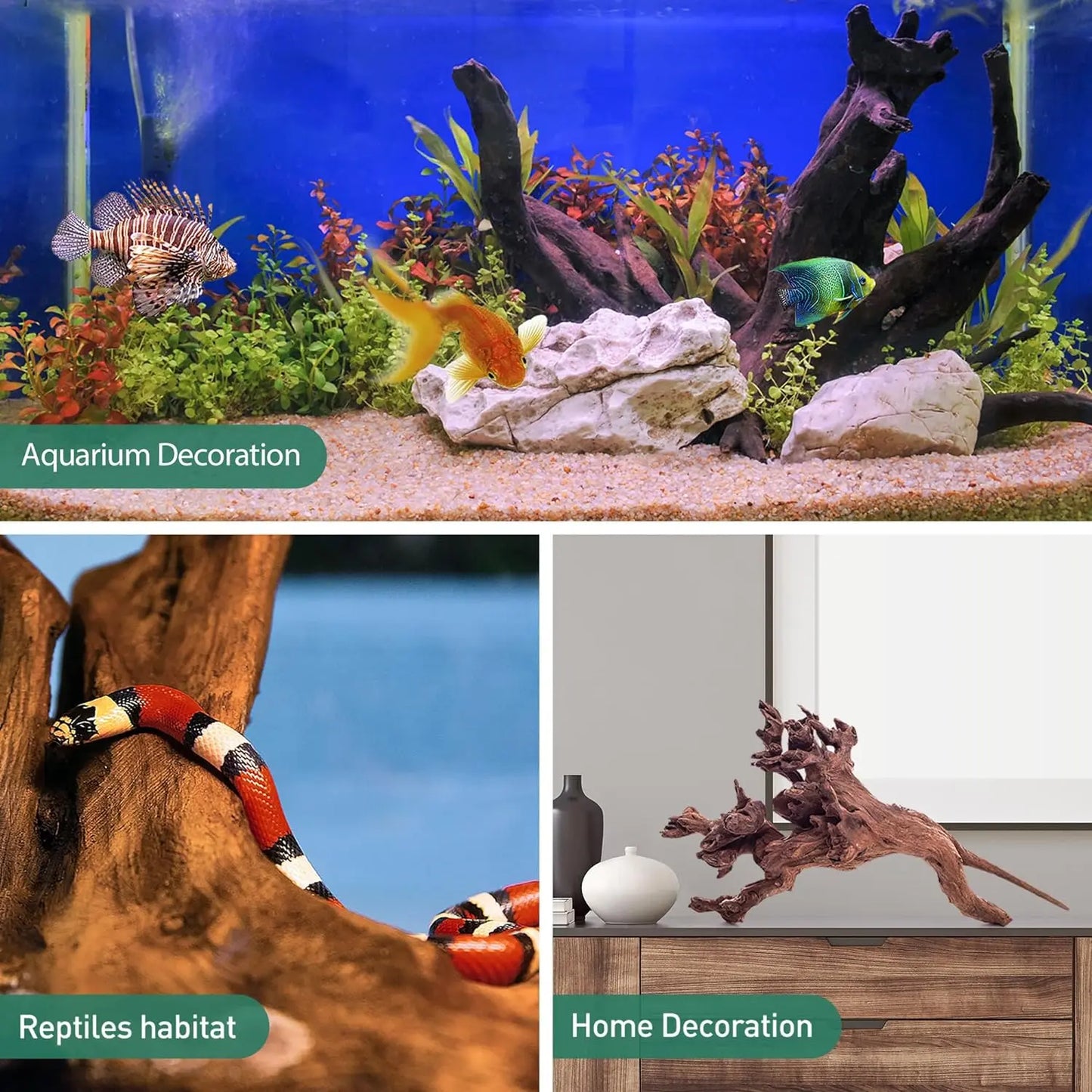 Penn Plax Natural Driftwood for Aquarium Decor  Branch Decorations for Reptile Tank Talis Us