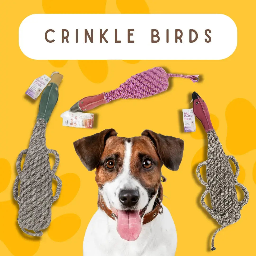 A happy dog sits in front of three colorful, rope-like Pet-Safe Bird Toys for Dogs Made from Recycled Materials by Advance Pet Products, set against a yellow background with paw prints.