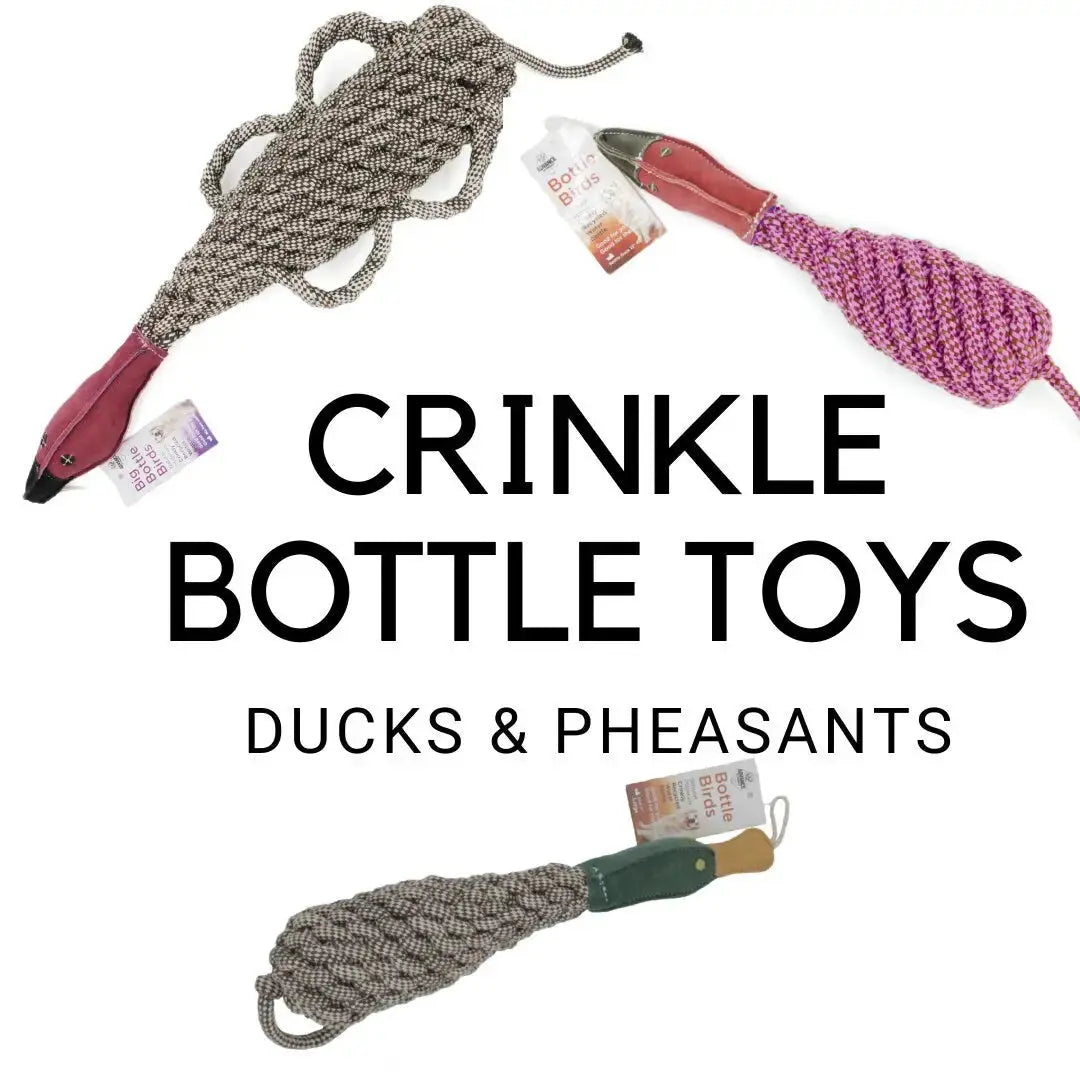 Pet-Safe Bird Toys for Dogs Made from Recycled Materials Advance Pet Products