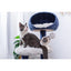 PetPals Blue Galaxy and Gray 4 Level Cat Tree With Condo and Shag fur PetPals Group