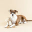 PetShop by Fringe Studio Bring More Nut Earth Friendly Dog Toy PetShop by Fringe Studio