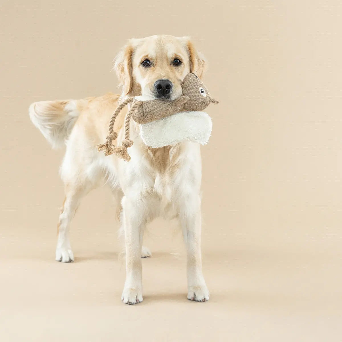 PetShop by Fringe Studio Bring More Nut Earth Friendly Dog Toy PetShop by Fringe Studio