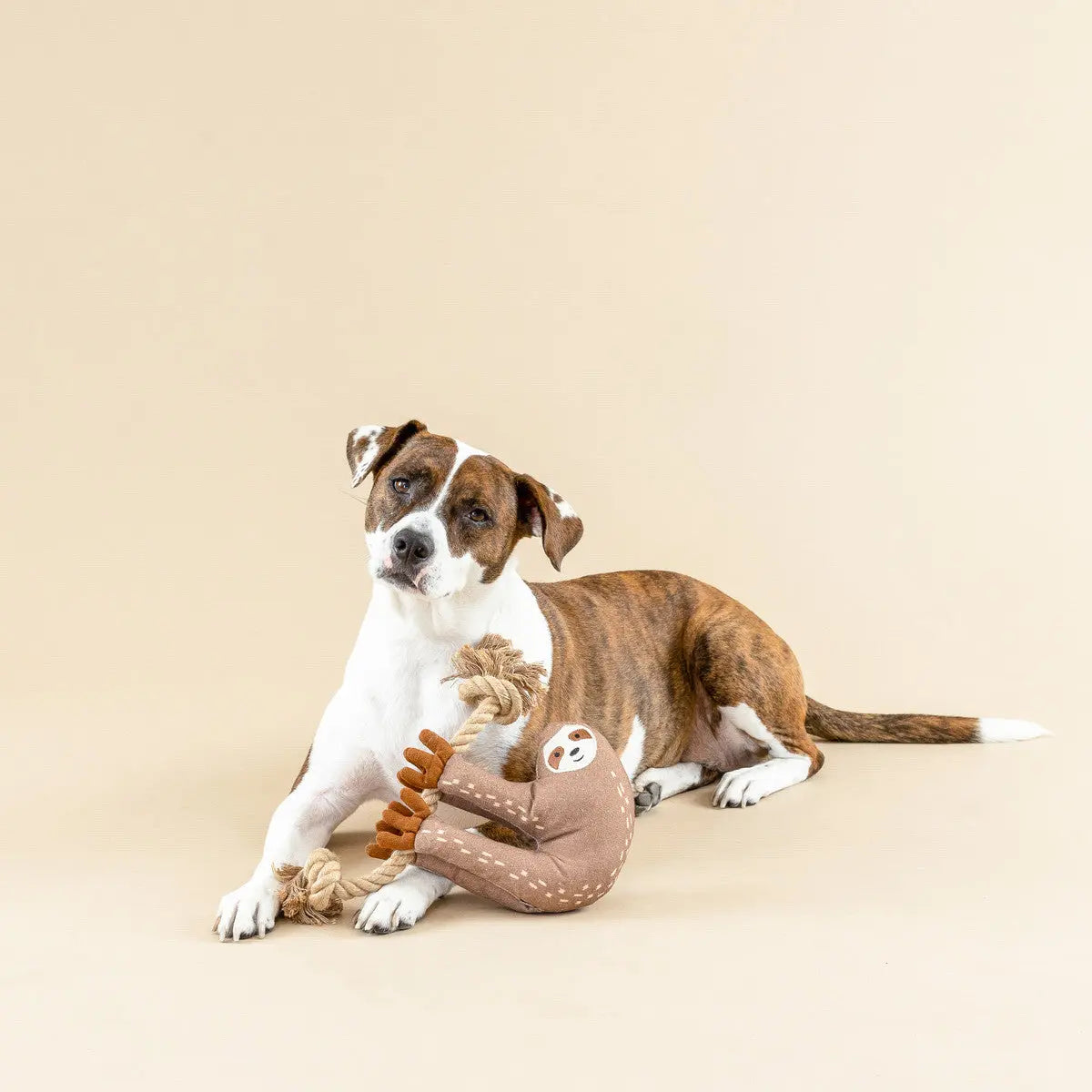 PetShop by Fringe Studio Eat Sleep Repeart Earth Friendly Dog Toy PetShop by Fringe Studio