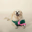 PetShop by Fringe Studio Flamingo Fun Large Plush Dog Toy PetShop by Fringe Studio
