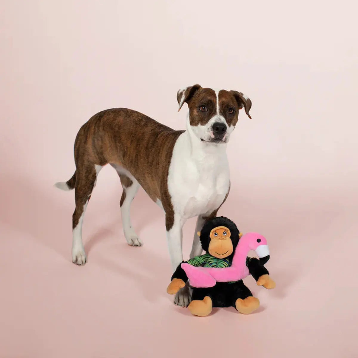 PetShop by Fringe Studio Gregory The Gorilla Plush Dog Toy PetShop by Fringe Studio