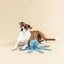 PetShop by Fringe Studio Long Time No Sea Earth Friendly Dog Toy PetShop by Fringe Studio