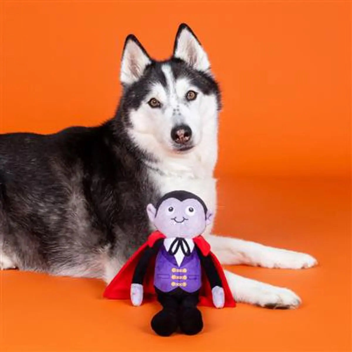 PetShop by Fringe Studio You're My Blood Type Plush Dog Toy PetShop by Fringe Studio
