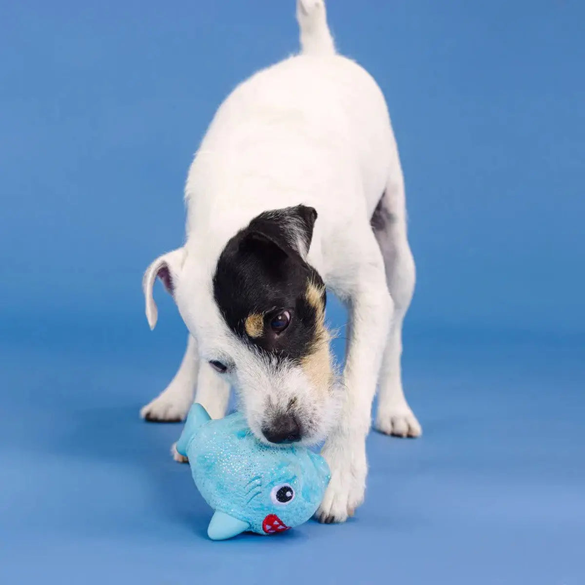 PetShop by Fringe Out of the Blue Rubber/Plush Dog Toy PetShop by Fringe Studio