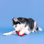 PetShop by Fringe Reel Me In Rubber/Plush Dog Toy PetShop by Fringe Studio