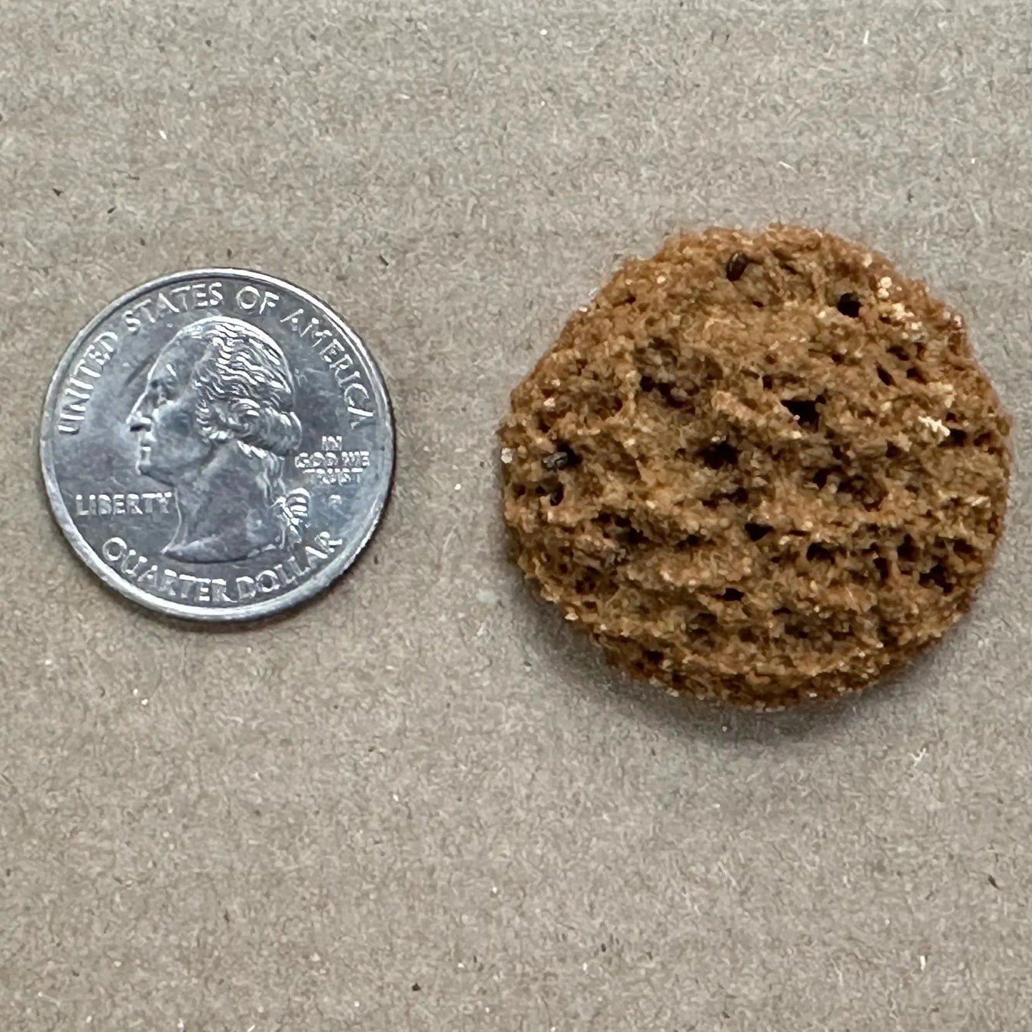 A U.S. quarter lies next to a small, round, brown Poochie Butter Cheezy Soft Chewy Dog Treat by Poochie Butter on a tan surface, showing the treats crumbly texture and size for comparison.