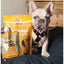 A light tan French Bulldog puppy in a brown harness sits on a dark bed next to packs of Poochie Butter Cheezy Soft Chewy Dog Treats by Poochie Butter. A wooden headboard is visible in the background.