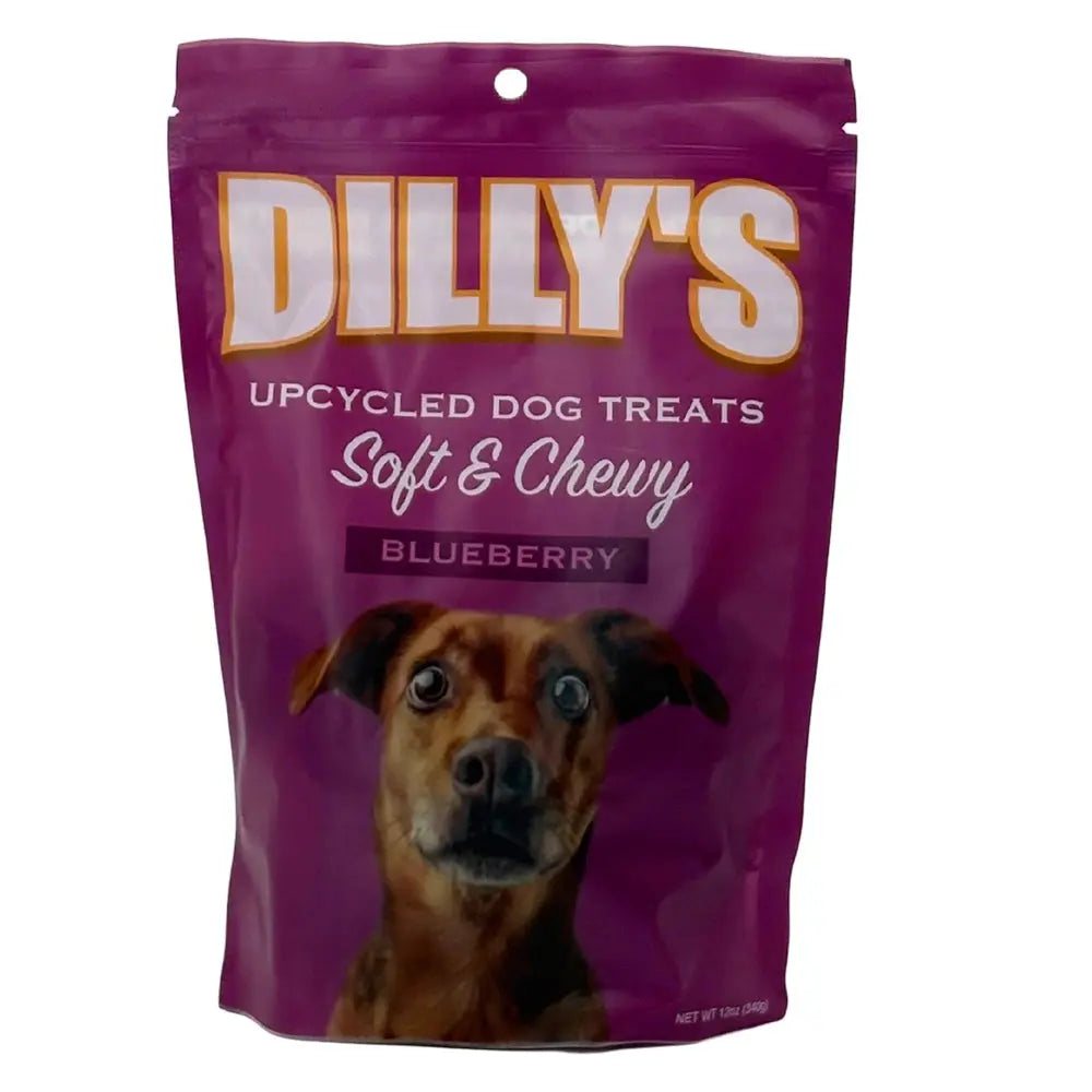Purple bag of Poochie Butter Dillys Blueberry Soft & Chewy Dog Treats, showing a brown dog looking up, with bold white and yellow text on the packaging.