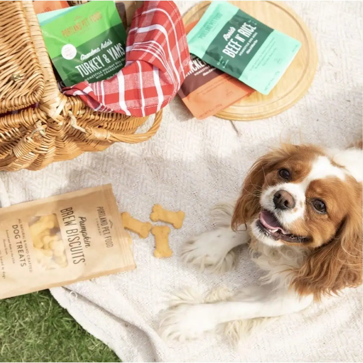 Portland Pet Food Company Pumpkin Brew Biscuits Dog Treats 5oz Portland Pet Food