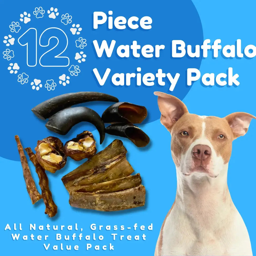 Image of a dog beside assorted Premium All Natural Water Buffalo Chews for Dogs by Advance Pet Products. Text reads 12 Piece Variety Pack—All Natural, Grass-fed Treats for Dental Health on a blue background with paw prints.