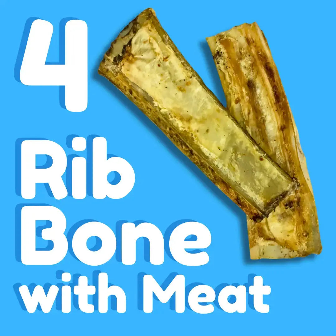 Two rib bones with meat on a blue background. Large white text reads “4 Rib Bone with Meat.” Advance Pet Products Premium All Natural Water Buffalo Chews for Dogs help support your pet’s dental health.