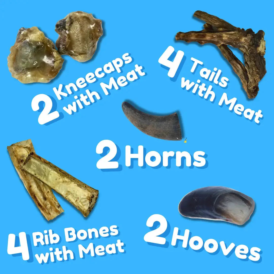 Premium All Natural Water Buffalo Chews for Dogs by Advance Pet Products shown on a blue background: 2 kneecaps with meat, 4 tails with meat, 2 horns, 4 rib bones with meat, and 2 hooves—each to help support your dog’s dental health.