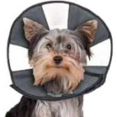 Replaced Image