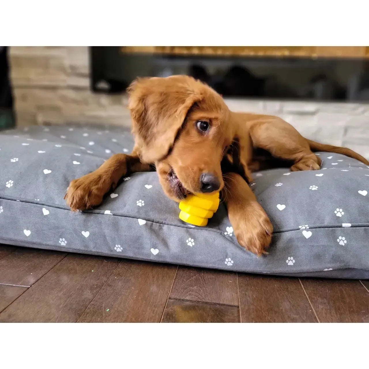 https://talis-us.com/cdn/shop/files/Project-Hive-Pet-Company-Hive-Durable-Chew-Toy-for-Small-Dogs-Project-Hive-Pet-Company-1688410188222.webp?v=1688494618&width=1445