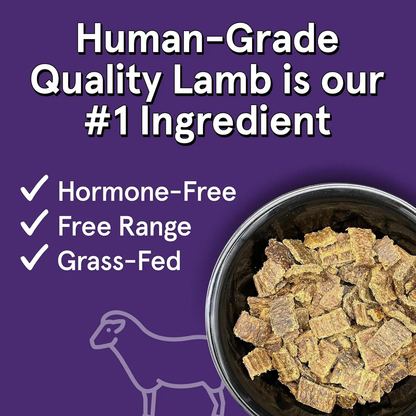 Real Meat Air Dried Grass-Fed Lamb Dog Food 10lb Real Meat®