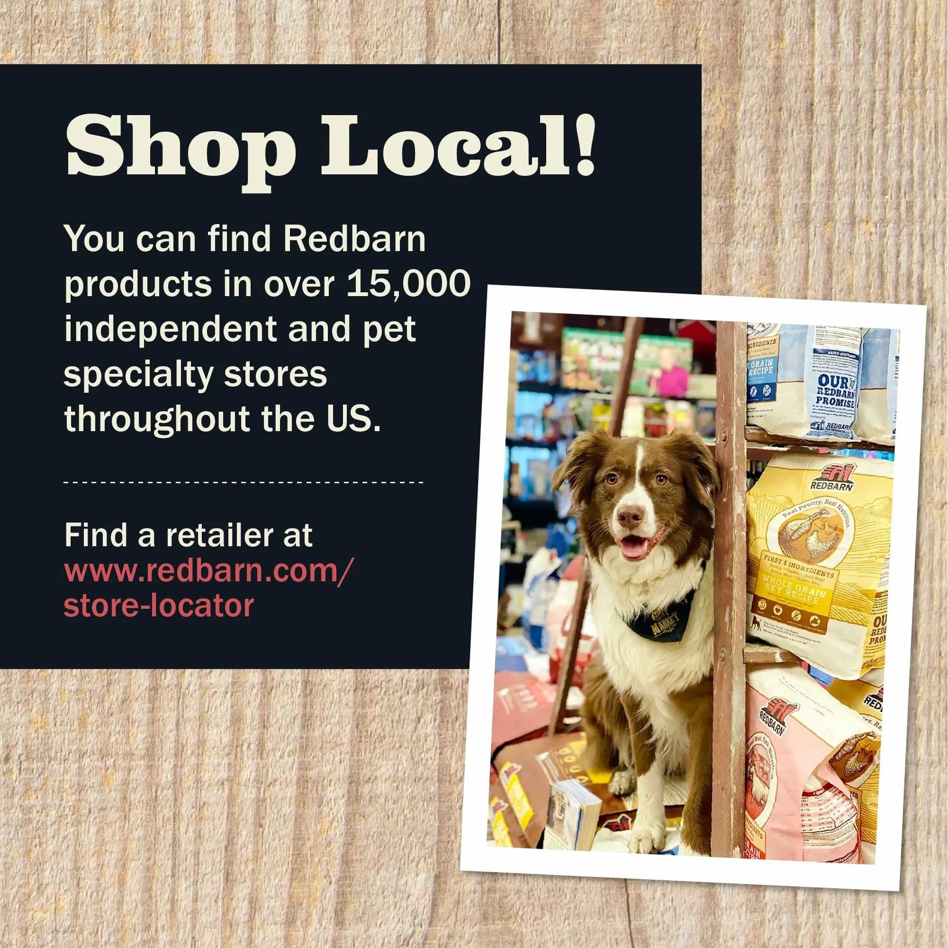 Redbarn Pet Products Hearty Stew All Life Stages Lamb & Carrot Wet Dog Food Redbarn