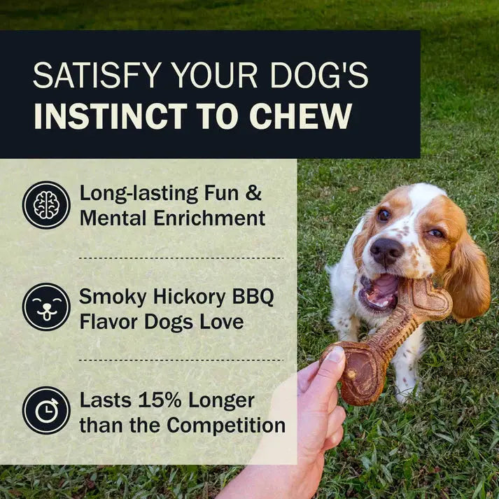 A person holds a Redbarn Hickory BBQ Dur-A-Bulls Bone Healthy Dog Chew for their happy dog on grass. Text highlights long-lasting fun, limited ingredients, smoky hickory flavor, and that it lasts 15% longer than competitors.