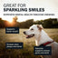 A happy dog wears a red collar outdoors in sunlight. Redbarns Hickory BBQ Dur-A-Bulls Stick Healthy Dog Chew helps support better breath, removes plaque and tartar, and naturally cleans gums and teeth.