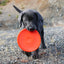 Ruff Dawg K9 Flyer Disc Tough Dog Toy Ruff Dawg