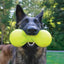 Ruff Dawg, Big Dawg Barbell Tough Dog Chew Toy Ruff Dawg